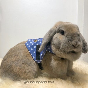 Star Tuxedo Small Pet/Animal Harness with Leash /Shirt/ Clothes - for Bunny/Rabbits, Chinchilla, Guinea Pig - HIGH QUALITY (SIZE M)