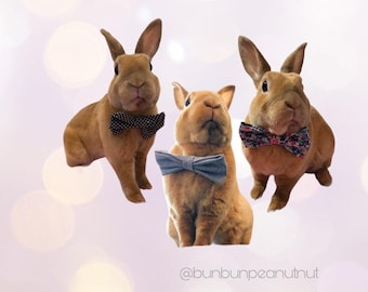 Bunnies, Dogs, Cats, Small Pets Bows/Bow Ties