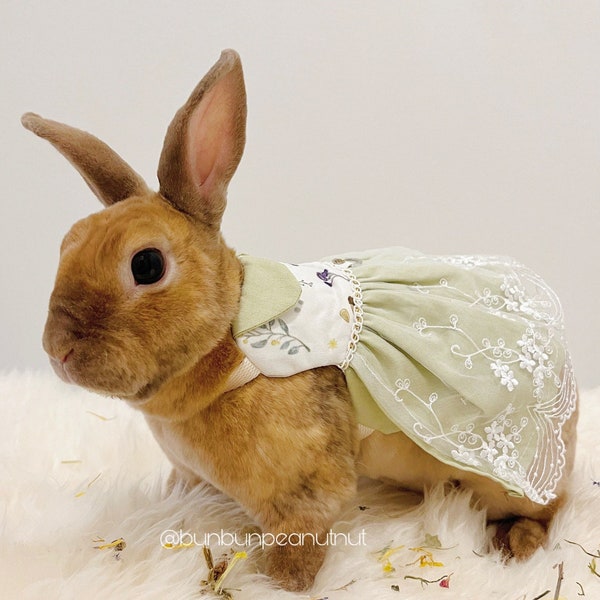 Feenkleid für kleine Haustiere/Tiergeschirr mit Leine /Shirt/Kleidung - für Häschen, Chinchilla, Meerschweinchen - HOHE QUALITÄT