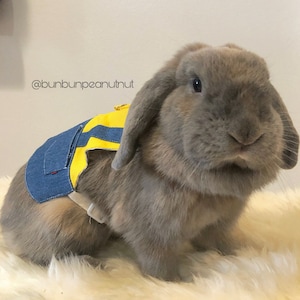 Minions-shirt voor klein huisdier/dierharnas met riem /shirt/ kleding - voor konijn/konijn, chinchilla en cavia - (maat M)