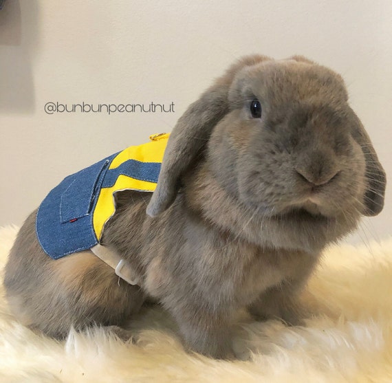 Minions Shirt for Small Pet animal Harness With Leash shirt Clothes for Bunny rabbits Chinchilla Guinea Pig size M Etsy UK