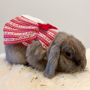 Spring Flower Red Dress for Small Pet/Animal with Leash /Shirt/ Clothes - for Bunny/Rabbits, Chinchilla, Guinea Pig - HIGH QUALITY size M)
