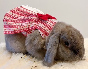 Puede incluir: Un conejito gris y marrón con un vestido de cuadros rojos y blancos con un lazo rojo.