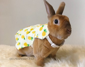 Puede incluir: Un conejo marrón con un arnés de estampado de piña amarillo y blanco. El conejo está de pie sobre una superficie blanca y esponjosa. El texto '@bunbunpeanutnut' es visible en la esquina inferior izquierda de la imagen.