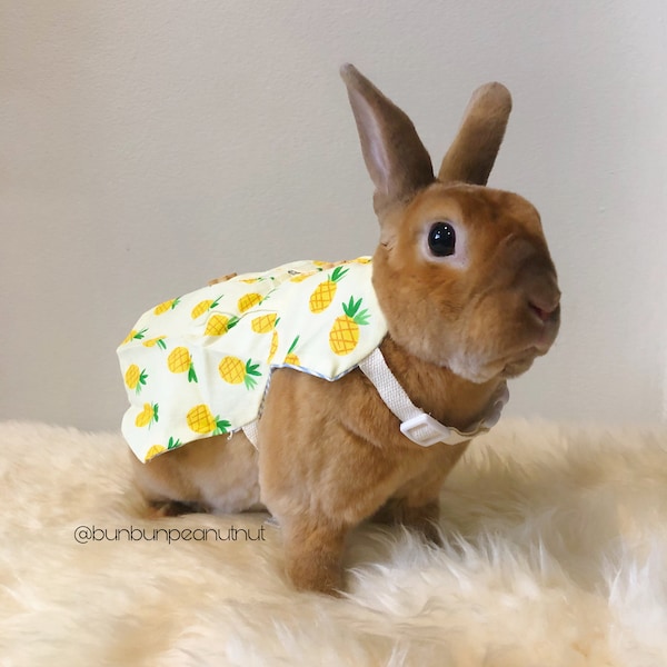 Pineapple Dress for Small Pet/Animal Harness with Leash /Shirt/ Clothes - for Bunny/Rabbits, Chinchilla, Guinea Pig - (size M)