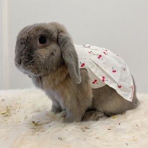 Cherry Dress for Small Pet/Animal Harness with Leash /Shirt/ Clothes - for Bunny/Rabbits, Chinchilla, Guinea Pig - HIGH QUALITY (size M)