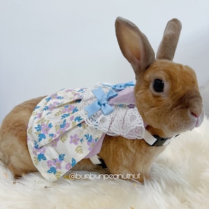 Princess Dress for Small Pet/Animal Harness with Leash /Shirt/ Clothes - for Bunny/Rabbits, Chinchilla, Guinea Pig - HIGH QUALITY