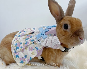 Puede incluir: Un conejo marrón con un vestido estampado floral con lazos azules y un cuello de encaje blanco. El vestido tiene un estampado floral lila claro y azul sobre un fondo crema. El conejo también lleva un arnés blanco.