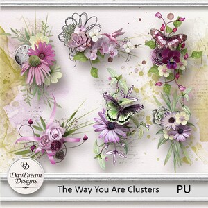 May include: A digital collage featuring five floral clusters with butterflies and a clock. The clusters are in shades of pink, purple, green, and white. The text "The Way You Are Clusters" is at the bottom of the image.