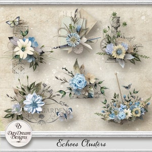 Ecos Clusters