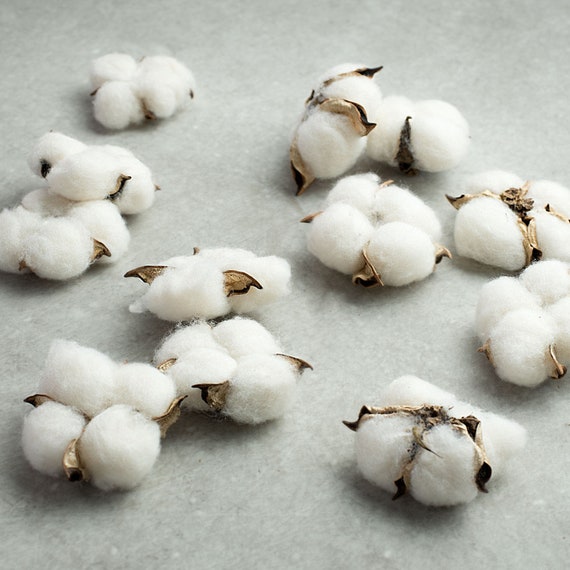 Farmhouse Cotton Boll 12/" Pick