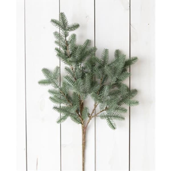 Evergreen Branch Etsy