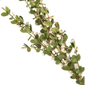 Boxwood Floral 32&quot; Spray With Cream Berries
