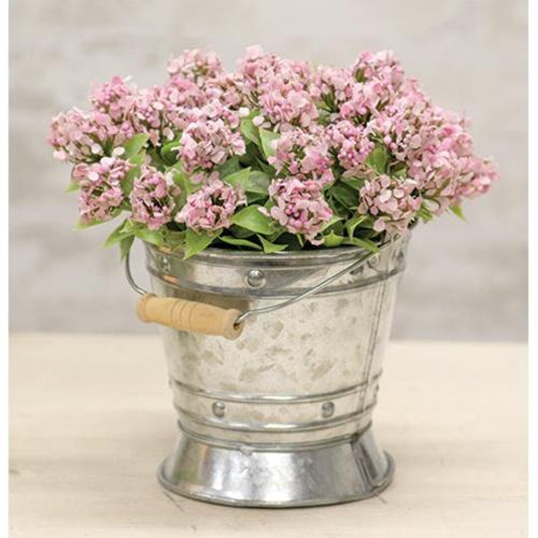 Small Fall Pails Galvanized Tin Mini Pail With Handle - Etsy