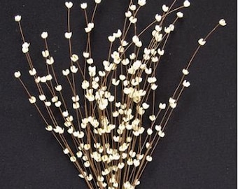 Airy Creamy Colored Buttercup Floral Spray 22" L