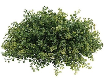 Pennington Boxwood 12&quot; Faux Foliage Half Sphere