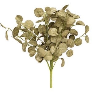Sage Foamy Silver Dollar 12" Faux Foliage Bush