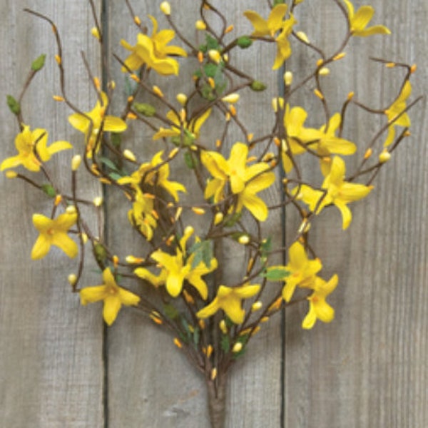 Spring Yellow Forsythia and Pip 18" Spray