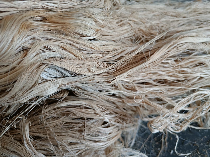 Detail of natural banana fiber strands spread loosely, showing their beige color and fibrous texture.