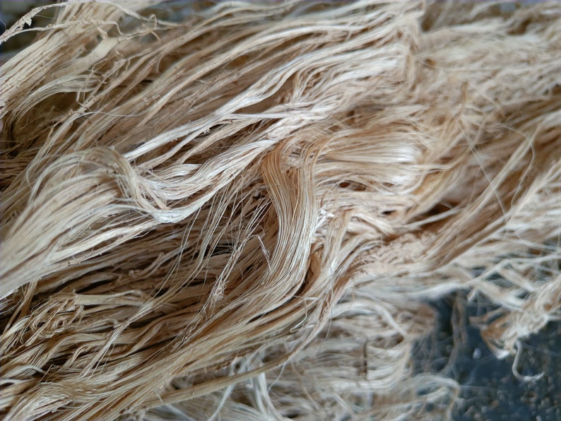 Close-up of long natural beige banana fiber strands layered together, showing the texture and slight color variation.