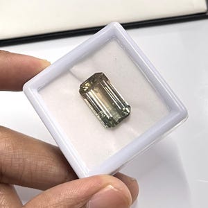 16.20 Cts Natural Bio-Color Tourmaline Faceted Cut Gemstone Size 19x11x8 mm Octagon Shape Tourmaline Loose Stone for Jewelry Making Gemstone