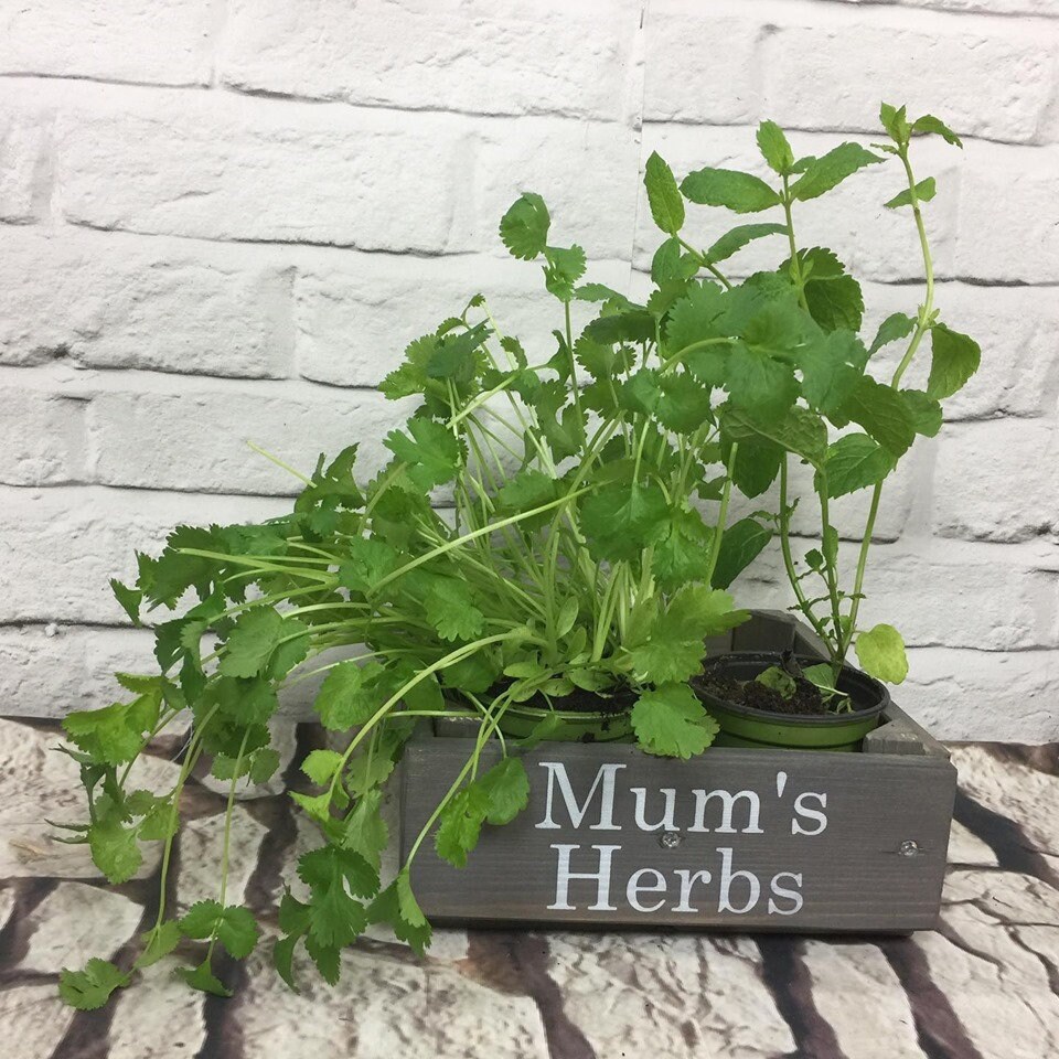 Herbs Storage Box Can Be Personalised Etsy Ireland