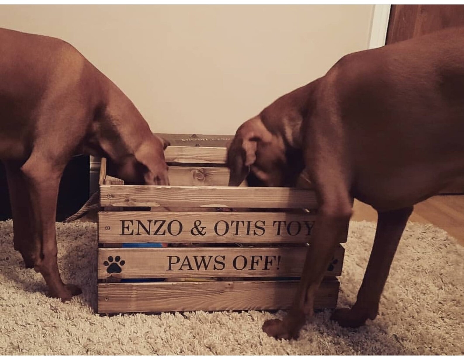Large Personalised Toy treat box for your cat or dog in wood | Etsy