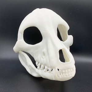 K&ouml;nnte beinhalten: Eine wei&szlig;e Plastik-Sch&auml;delmaske mit detaillierten Merkmalen, einschlie&szlig;lich Z&auml;hnen und Augenh&ouml;hlen.
