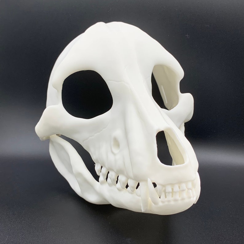 K&ouml;nnte beinhalten: Eine wei&szlig;e Plastik-Sch&auml;delmaske mit detaillierten Merkmalen, einschlie&szlig;lich Z&auml;hnen und Augenh&ouml;hlen.