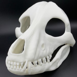 K&ouml;nnte beinhalten: Wei&szlig;e Tier Sch&auml;delmaske aus Kunststoff mit detaillierten Z&auml;hnen und Augenh&ouml;hlen.