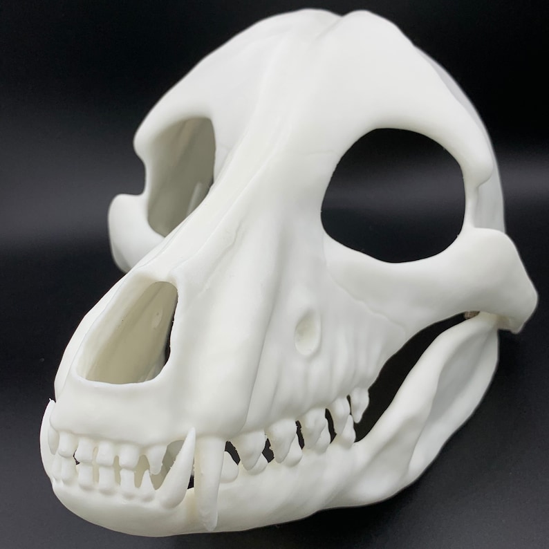 K&ouml;nnte beinhalten: Wei&szlig;e Tier Sch&auml;delmaske aus Kunststoff mit detaillierten Z&auml;hnen und Augenh&ouml;hlen.