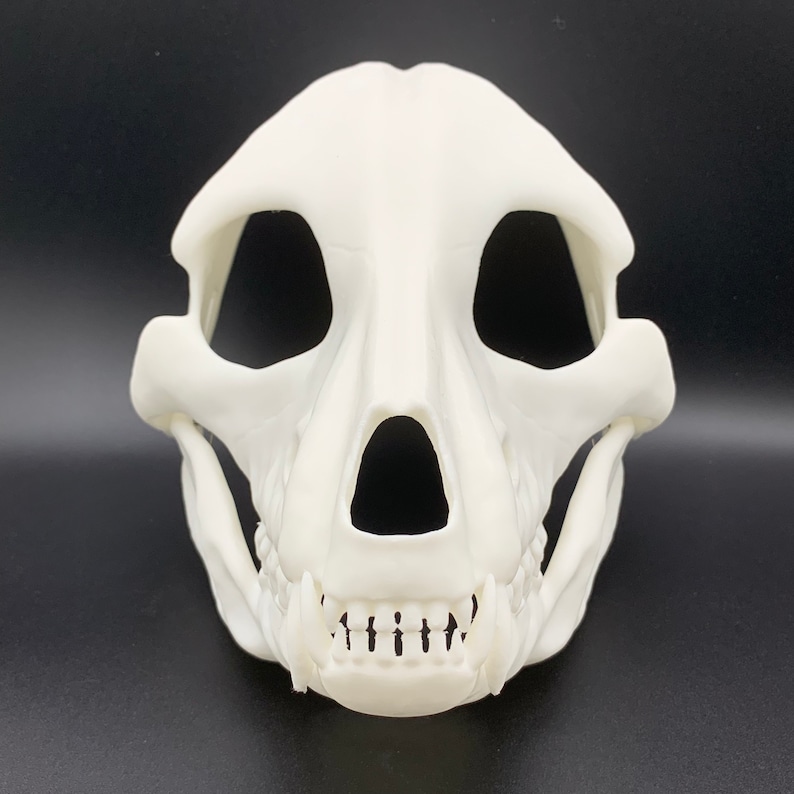 K&ouml;nnte beinhalten: Eine wei&szlig;e Plastik-Sch&auml;delmaske mit detailliertem Design, einschlie&szlig;lich Augenh&ouml;hlen, Nase und Z&auml;hnen. Die Maske ist eine realistische Darstellung eines Hundesch&auml;dels.