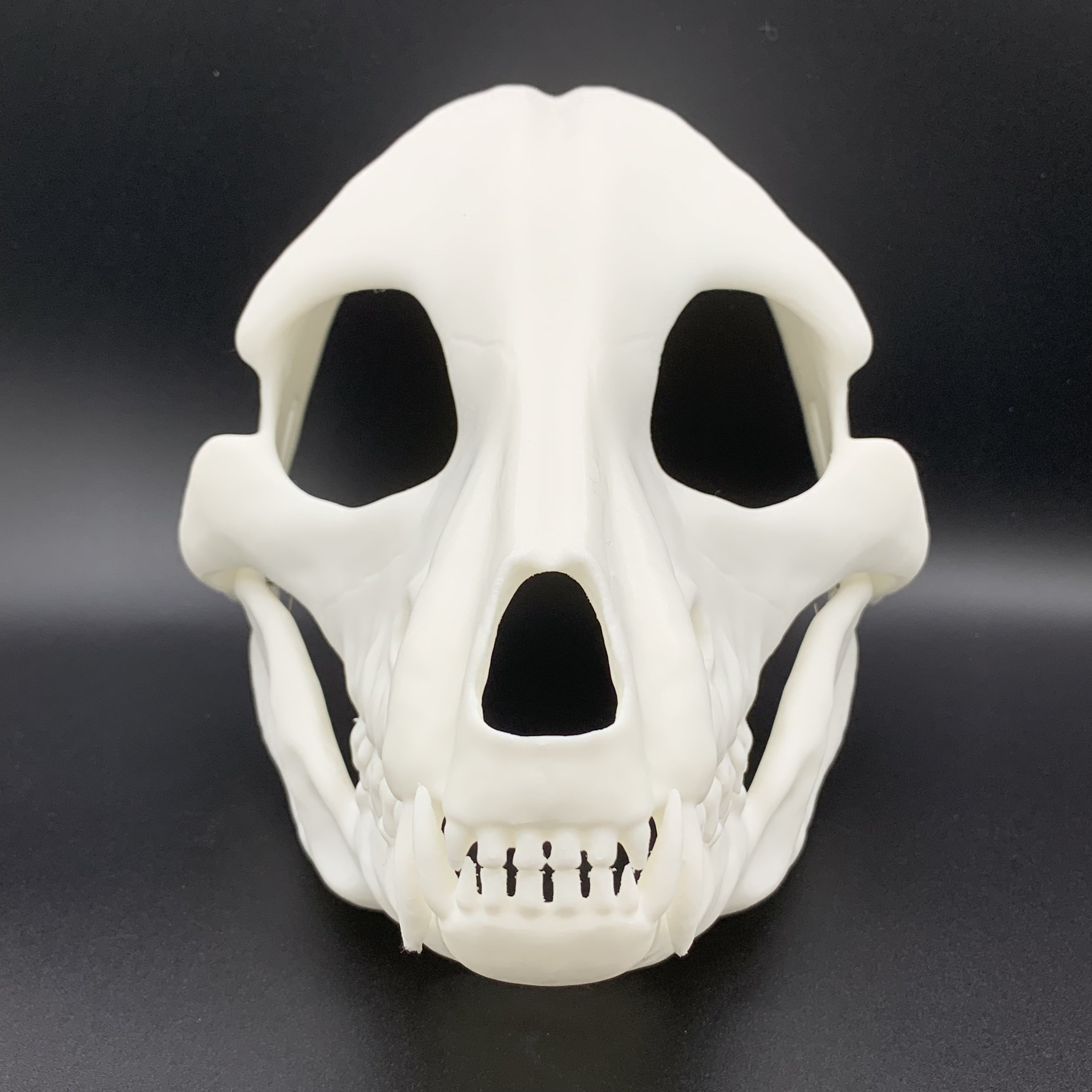 Canine Skull Realistic Skulldog Bone Mask - Movable Moving Hinge