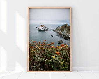 Big Sur Coast Wall Art | California Highway 1 Nature Flowers Ocean Beach Coastal Travel Photography Print | Instant Digital Download