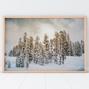 Snowy Forest Printable Wall Art | Winter Snow Tree Forest Nature Photography Print | Instant Digital Download
