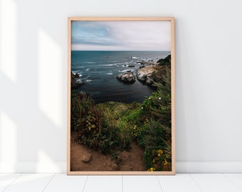 Big Sur Coastal Path Wall Art | California Highway 1 Nature Flowers Ocean Beach Coastal Travel Photography Print | Instant Digital Download