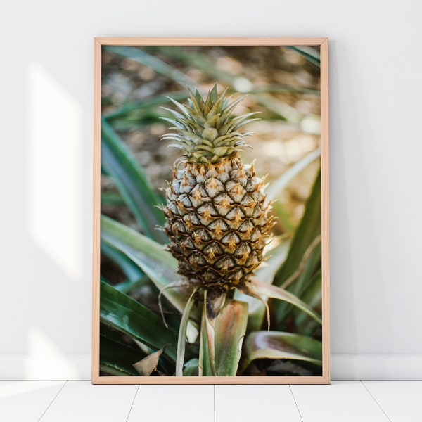 Tropical Pineapple Printable Wall Art | Tropical Fruit Food Nature Summer Photography Print | Instant Digital Download