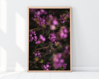 Trailing Lantana Blume druckbare Wandkunst | Floral Pflanze botanische Natur im Freien Makro Fotografie Druck | Sofortiger digitaler Download