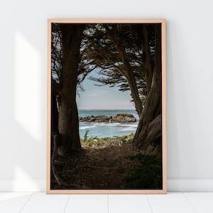 Sea Ranch Coastal Lookout Printable - California Ocean Landscape Photography Wall Art, Beach Trail Nature Print - Instant Digital Download