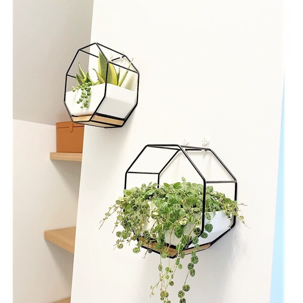Hexagon Planter Etsy
