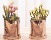 Metallic Ceramic Planter with a Tray, Minimalist Planter, Scandinavian Cactus Planter Pot,Haworthia Modern Planter Indoor,Cache Pot de Fleur