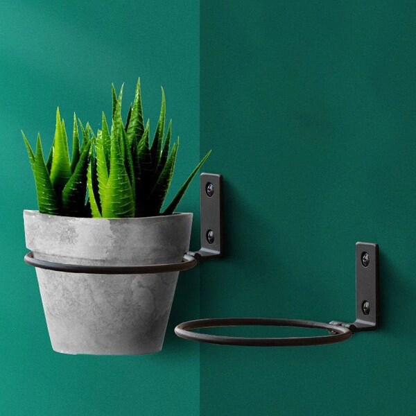 Plant Wall Mount Etsy