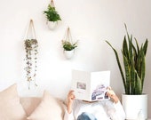 3 Ceramic Hanging Planter Indoor Set, Wall Planter Indoor, Ceramic Planter, Air Plant Holder, Succulent Plant Hanger, Cactus Planter Pot