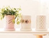 Stylish Pink and Champagne Ceramic Planter with a Tray, Minimalist Planter, Scandinavian Cactus Planter Pot, Haworthia Modern Planter Indoor