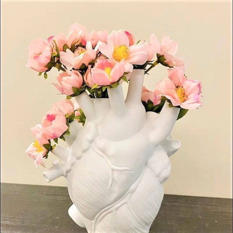 Unique Anatomical Heart Vase Anatomical Vase Cardiologist Etsy