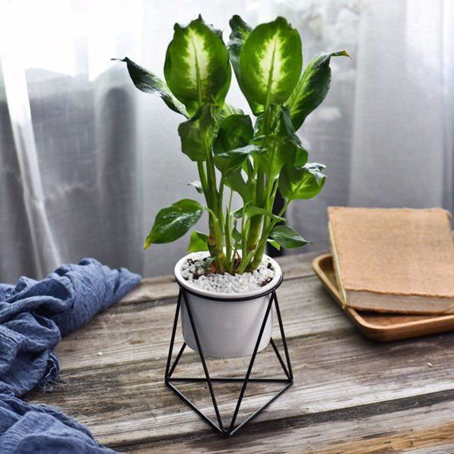 Ceramic Planter on a Metal Plant Stand Pedestal Plant Pot | Etsy