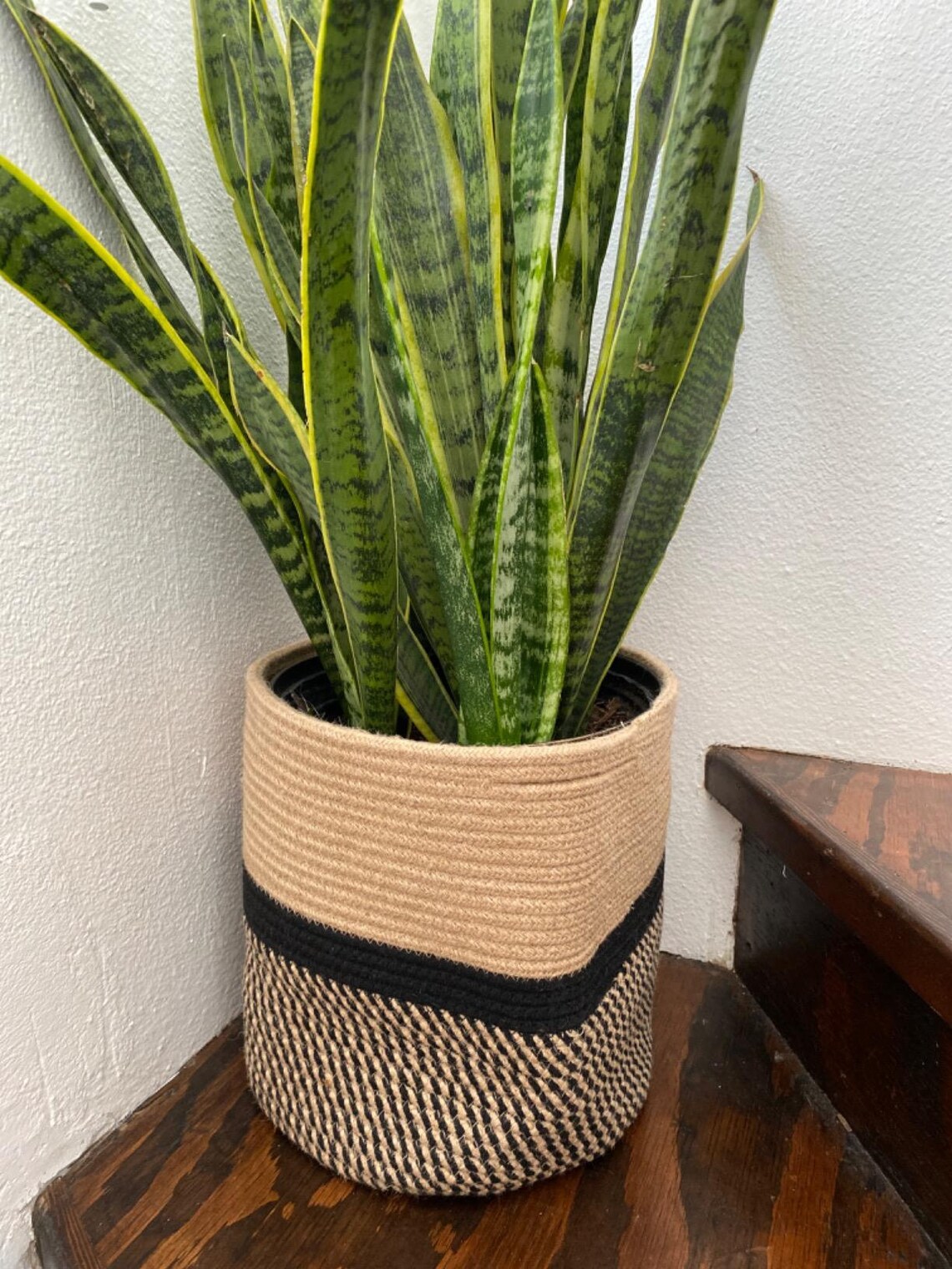 Woven Plant Basket for Planter Indoor Rope Basket Plant Etsy