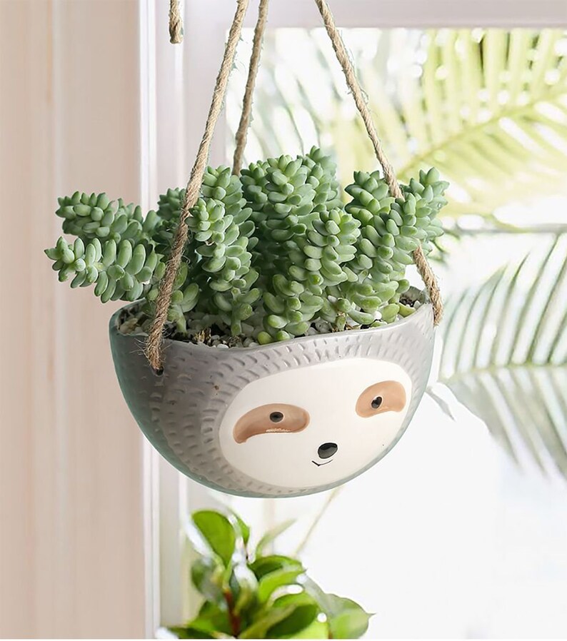 Sloth Hanging Planter Indoor Hanging Ceramic Planter Sloth Etsy