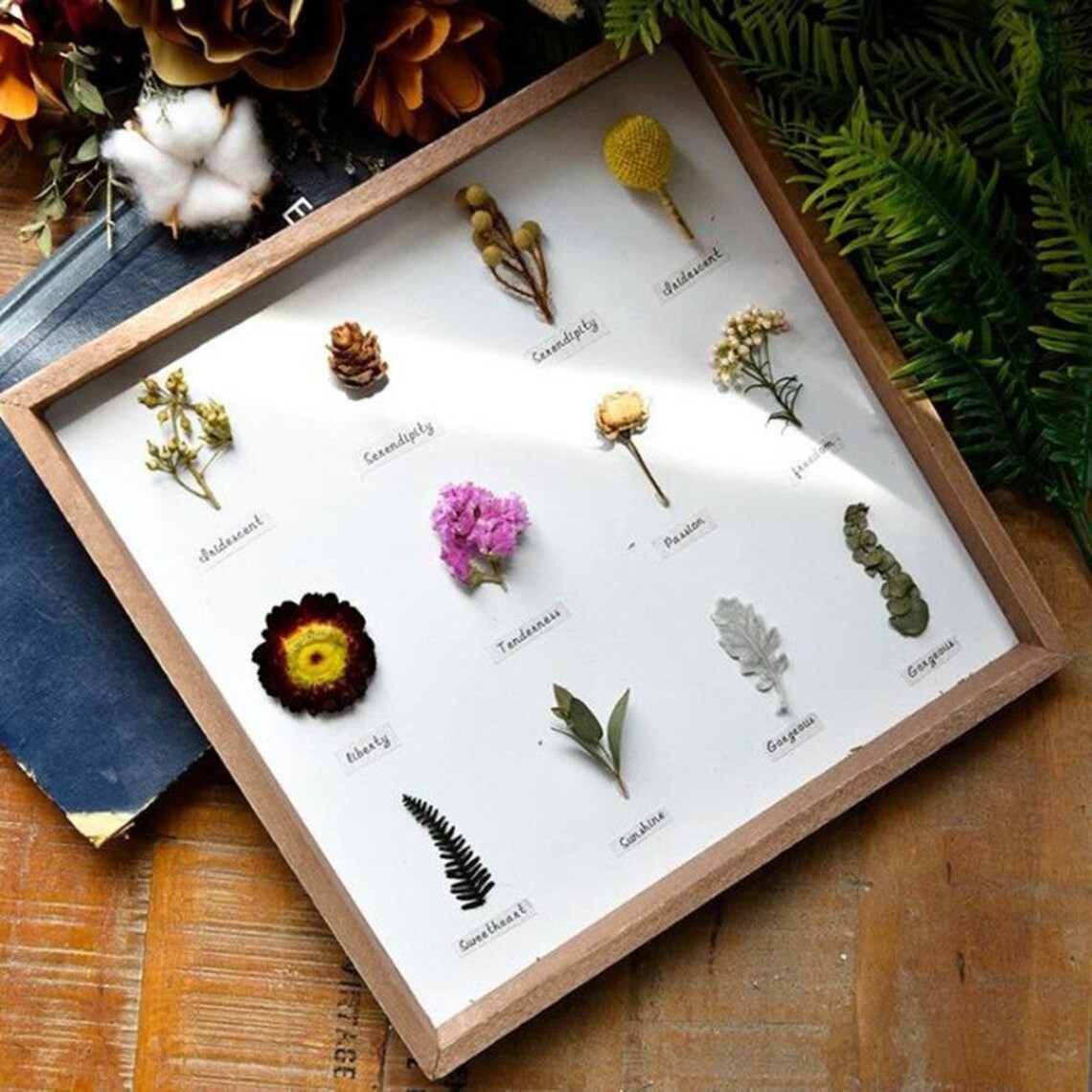 Herbarium Frame With Dried Flowers Preserved Flowers Frame Etsy