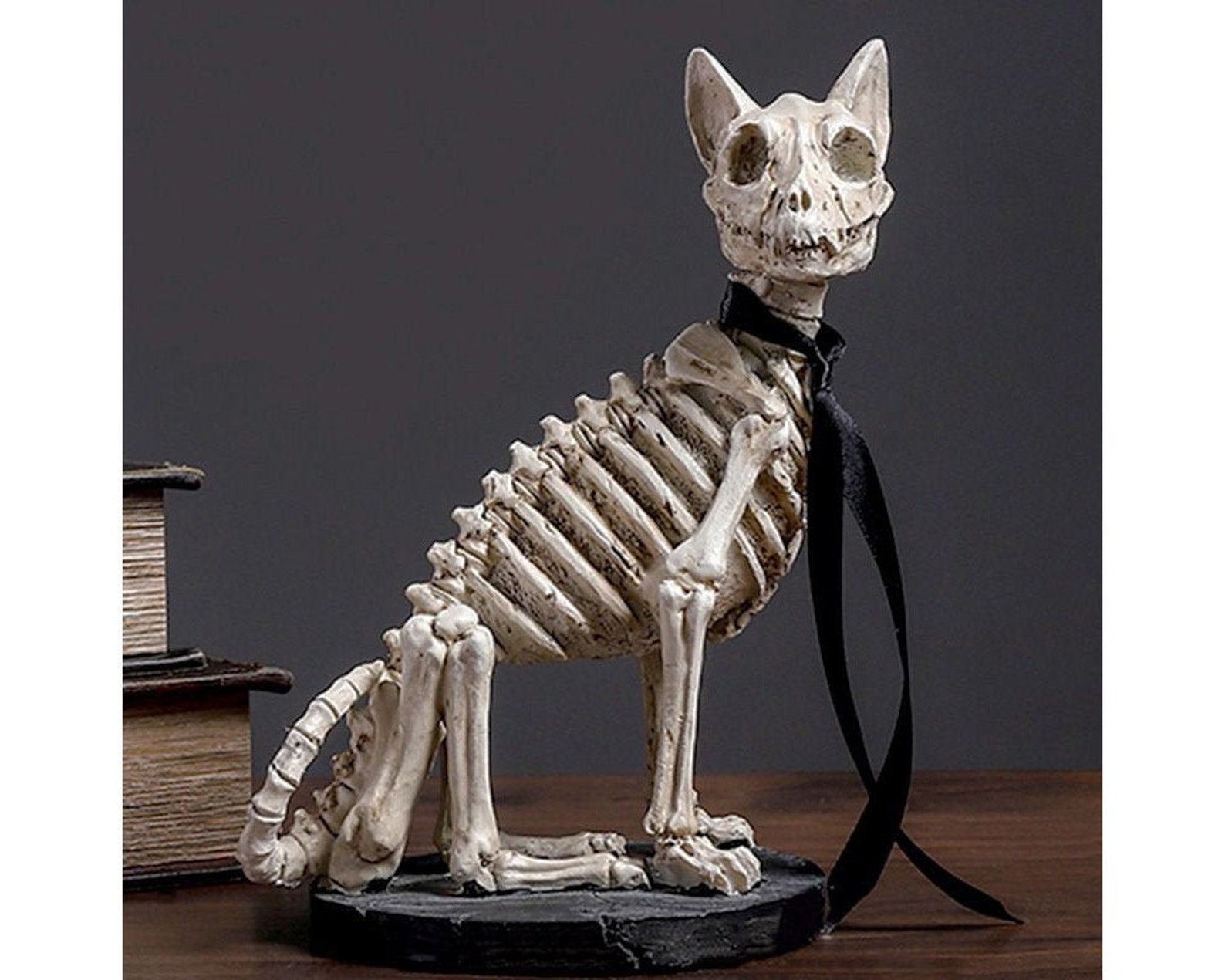 Cat Skeleton Gothic Home DecorDark Art Dog Skull Decor Cat Etsy